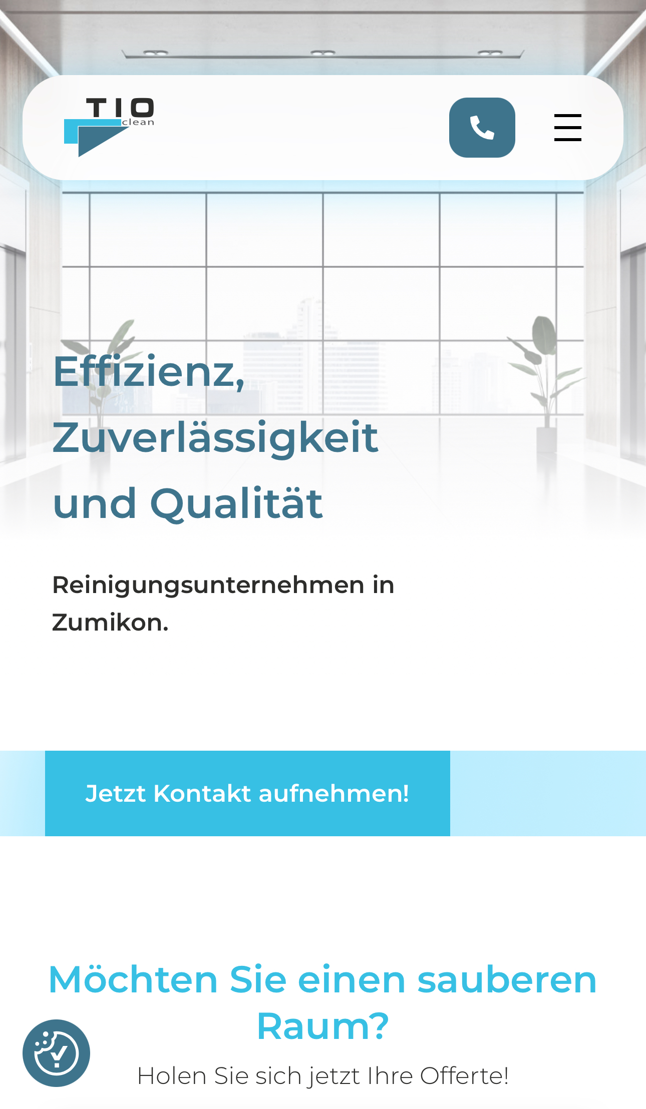 tioclean.ch